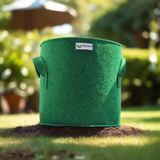 Geofabric Grow Bag for Planting – Eco-Friendly & Breathable for Healthier Plants!